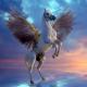 [obrazky_4ever_sk]-kon-s-kridlami-7532505.jpg